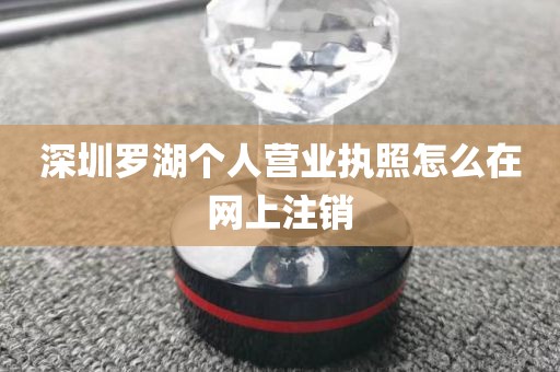 深圳罗湖个人营业执照怎么在网上注销