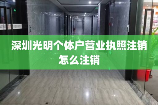 深圳光明个体户营业执照注销怎么注销