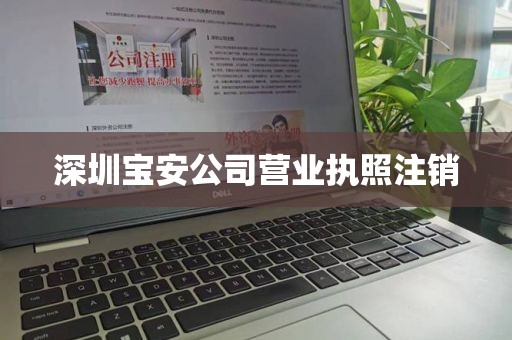深圳宝安公司营业执照注销