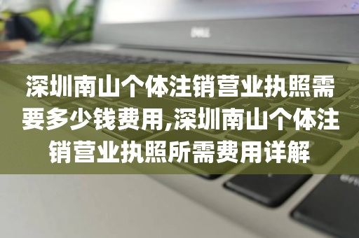 深圳南山个体注销营业执照需要多少钱费用,深圳南山个体注销营业执照所需费用详解