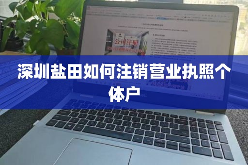 深圳盐田如何注销营业执照个体户