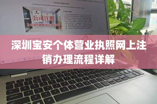 深圳宝安个体营业执照网上注销办理流程详解