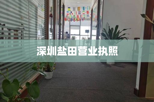 深圳盐田营业执照