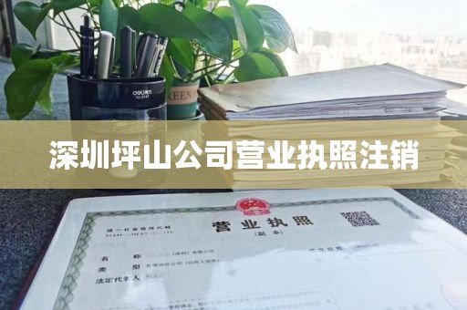 深圳坪山公司营业执照注销