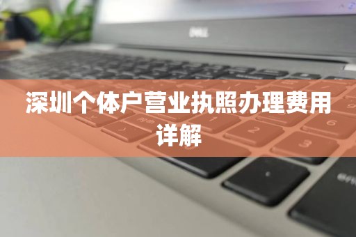 深圳个体户营业执照办理费用详解