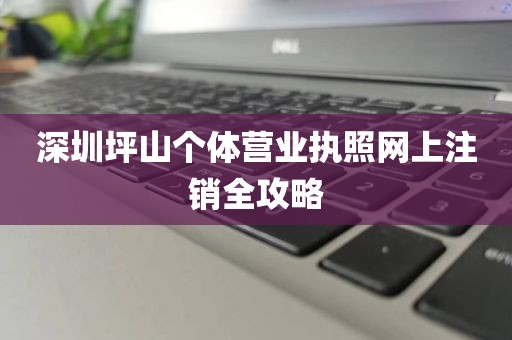 深圳坪山个体营业执照网上注销全攻略