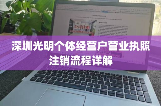 深圳光明个体经营户营业执照注销流程详解