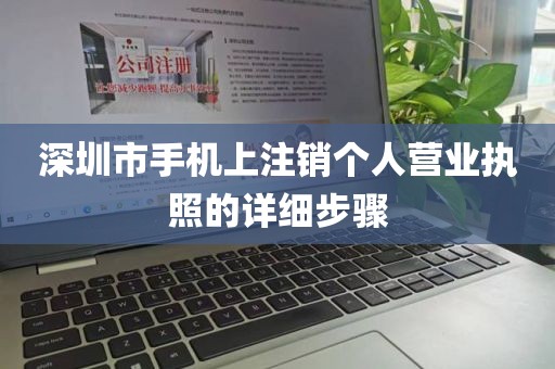 深圳市手机上注销个人营业执照的详细步骤