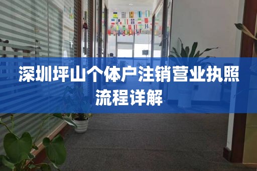 深圳坪山个体户注销营业执照流程详解