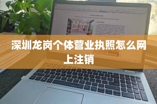 深圳龙岗个体营业执照怎么网上注销