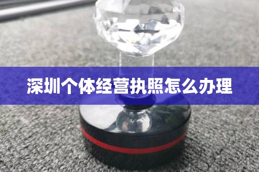 深圳个体经营执照怎么办理