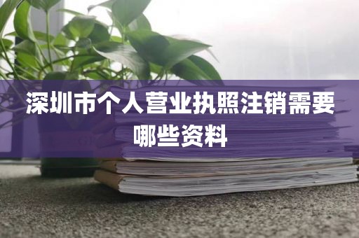 深圳市个人营业执照注销需要哪些资料