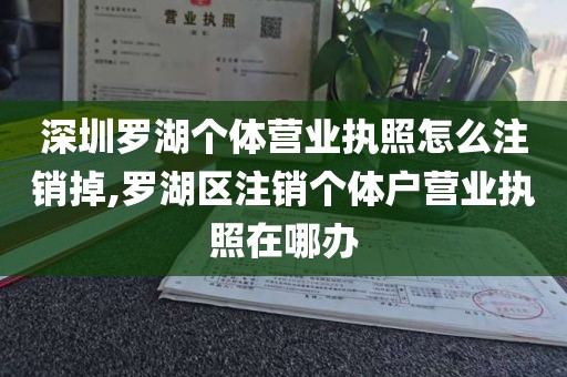 深圳罗湖个体营业执照怎么注销掉,罗湖区注销个体户营业执照在哪办