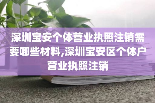 深圳宝安个体营业执照注销需要哪些材料,深圳宝安区个体户营业执照注销