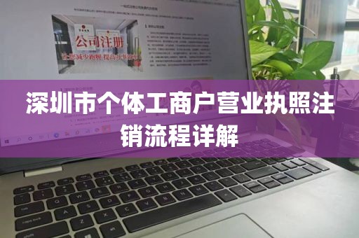 深圳市个体工商户营业执照注销流程详解