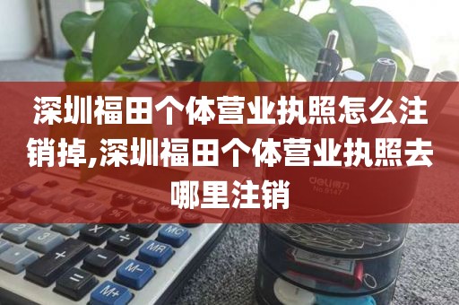 深圳福田个体营业执照怎么注销掉,深圳福田个体营业执照去哪里注销