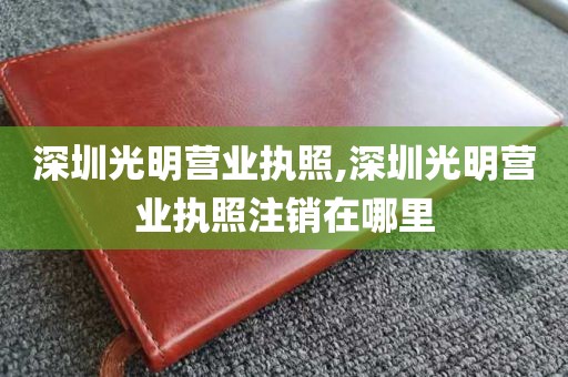 深圳光明营业执照,深圳光明营业执照注销在哪里