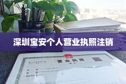 深圳宝安个人营业执照注销