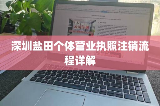 深圳盐田个体营业执照注销流程详解