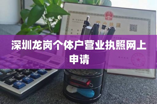 深圳龙岗个体户营业执照网上申请