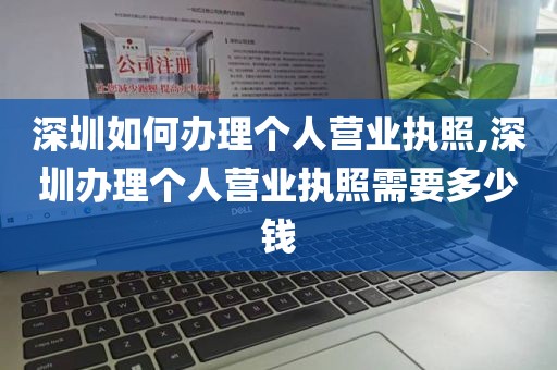 深圳如何办理个人营业执照,深圳办理个人营业执照需要多少钱