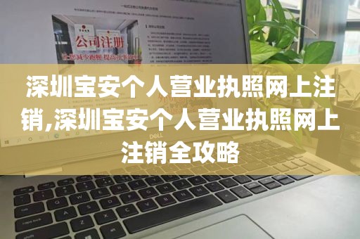 深圳宝安个人营业执照网上注销,深圳宝安个人营业执照网上注销全攻略