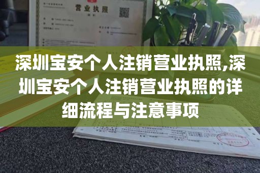 深圳宝安个人注销营业执照,深圳宝安个人注销营业执照的详细流程与注意事项