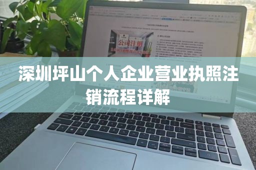 深圳坪山个人企业营业执照注销流程详解