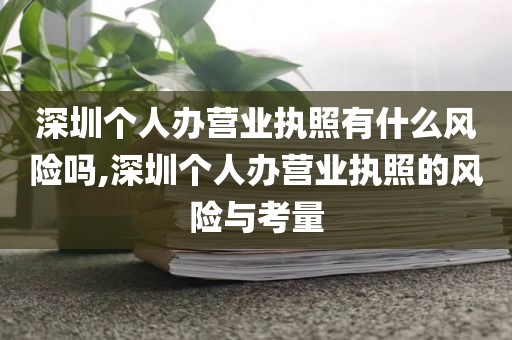 深圳个人办营业执照有什么风险吗,深圳个人办营业执照的风险与考量