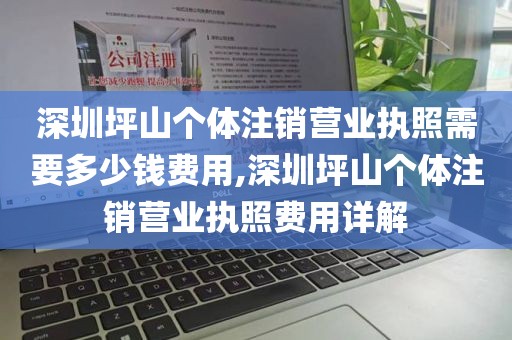 深圳坪山个体注销营业执照需要多少钱费用,深圳坪山个体注销营业执照费用详解