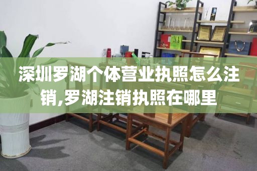 深圳罗湖个体营业执照怎么注销,罗湖注销执照在哪里
