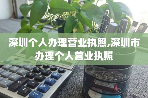 深圳个人办理营业执照,深圳市办理个人营业执照