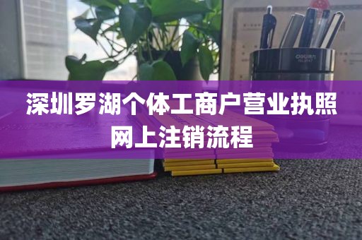 深圳罗湖个体工商户营业执照网上注销流程