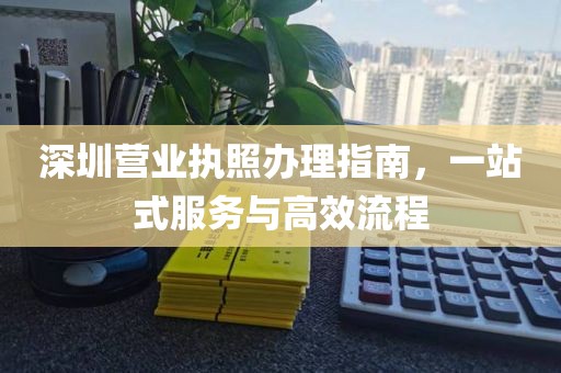 深圳营业执照办理指南，一站式服务与高效流程