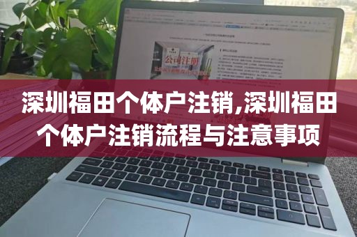深圳福田个体户注销,深圳福田个体户注销流程与注意事项