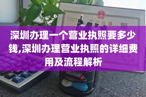 深圳办理一个营业执照要多少钱,深圳办理营业执照的详细费用及流程解析