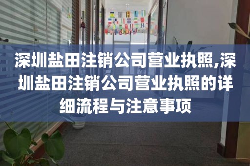 深圳盐田注销公司营业执照,深圳盐田注销公司营业执照的详细流程与注意事项