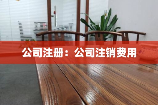 公司注册:公司注销费用