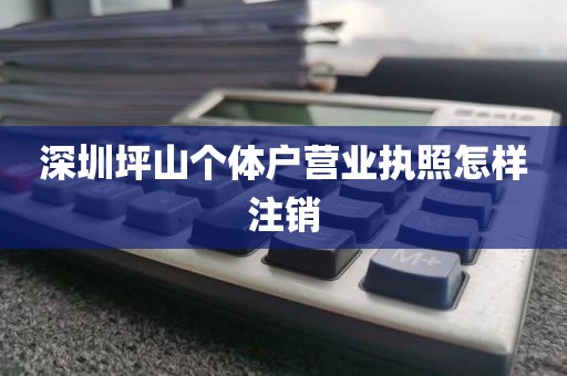 深圳坪山个体户营业执照怎样注销