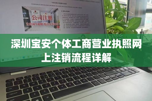 深圳宝安个体工商营业执照网上注销流程详解