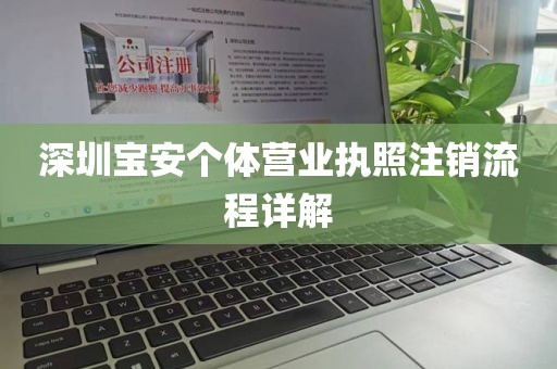 深圳宝安个体营业执照注销流程详解