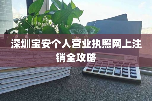 深圳宝安个人营业执照网上注销全攻略