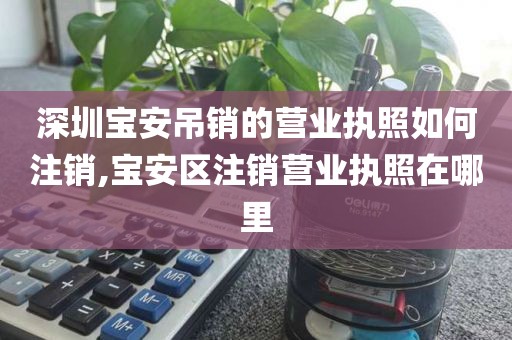 深圳宝安吊销的营业执照如何注销,宝安区注销营业执照在哪里