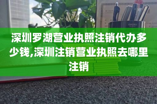 深圳罗湖营业执照注销代办多少钱,深圳注销营业执照去哪里注销