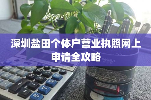 深圳盐田个体户营业执照网上申请全攻略