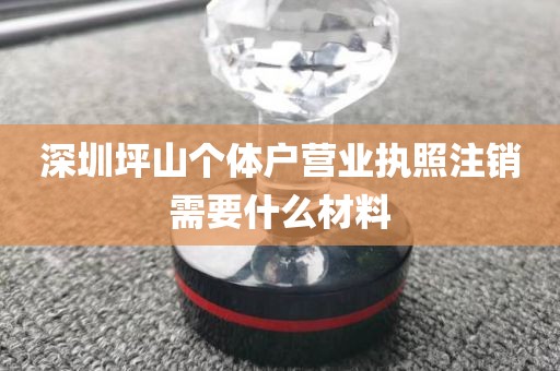 深圳坪山个体户营业执照注销需要什么材料