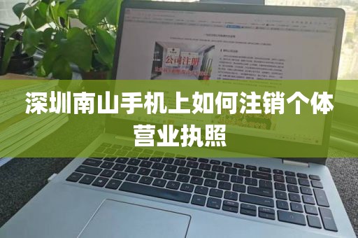 深圳南山手机上如何注销个体营业执照