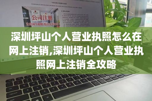 深圳坪山个人营业执照怎么在网上注销,深圳坪山个人营业执照网上注销全攻略