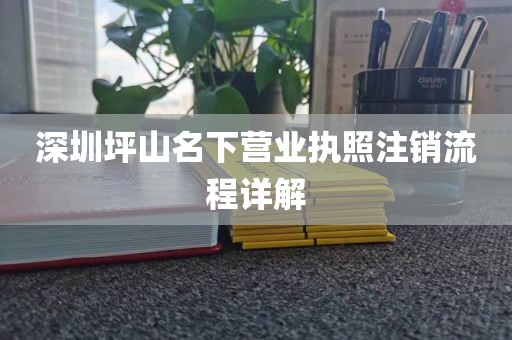 深圳坪山名下营业执照注销流程详解