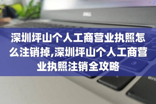 深圳坪山个人工商营业执照怎么注销掉,深圳坪山个人工商营业执照注销全攻略
